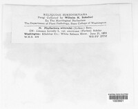 Image Associated With the Occurence